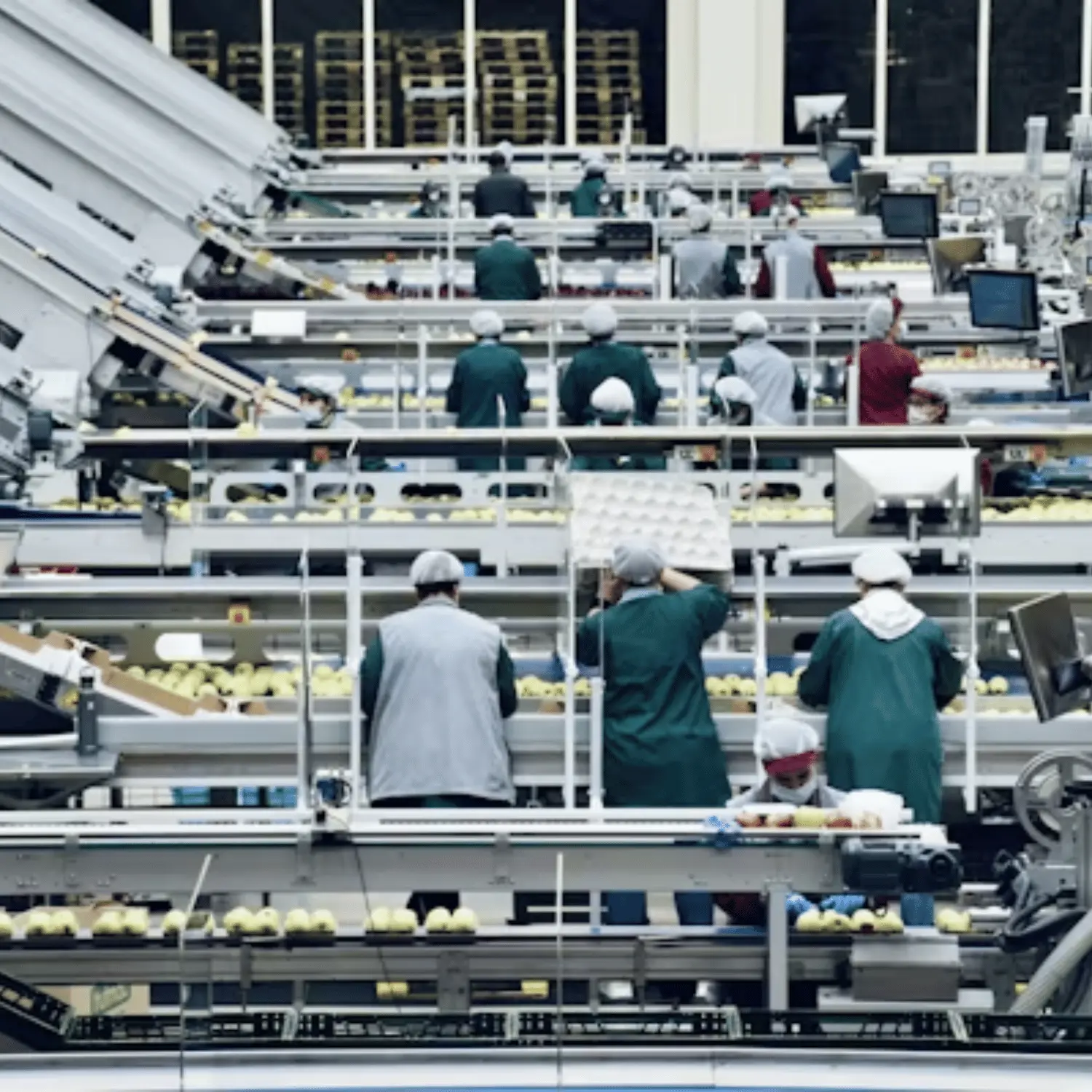 Processing Manufacturing Sapling Consultancy Services | Global IT & Automation Consulting